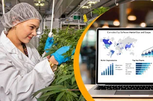 Top ERP Solutions for the Cannabis Industry