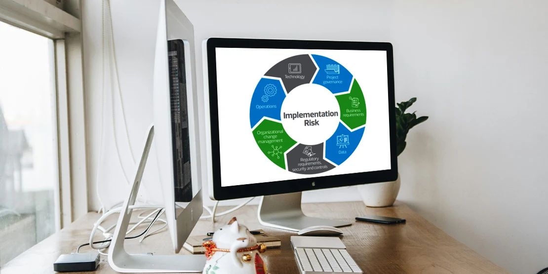 Understanding ERP Implementation Risks