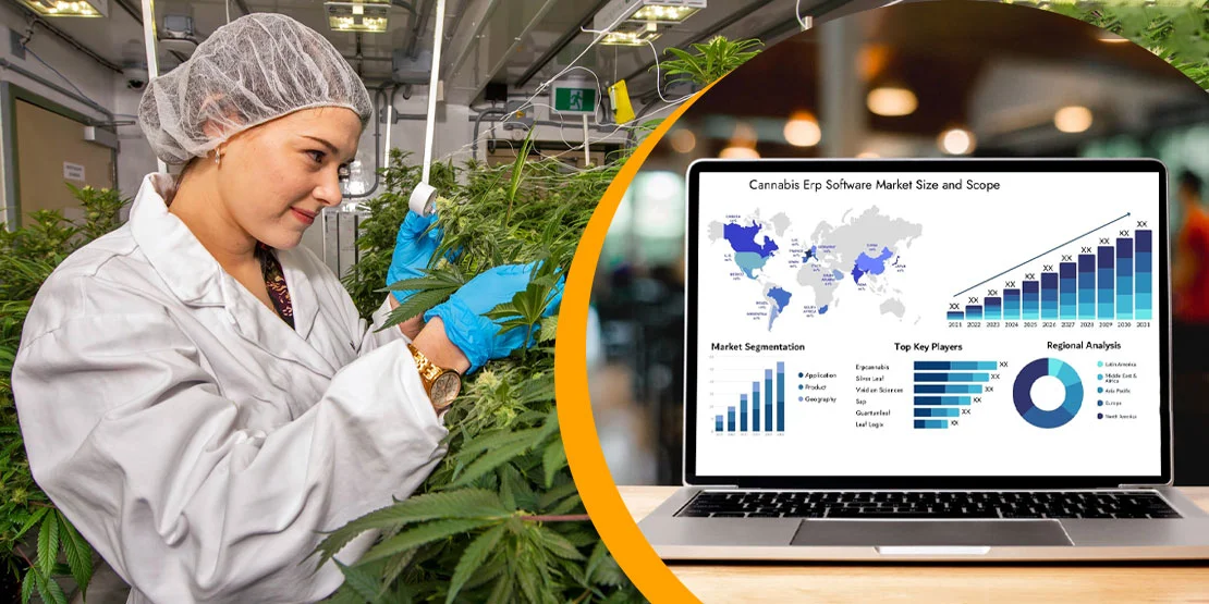 Top ERP Solutions for the Cannabis Industry