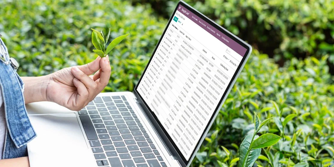 ERP for the Tea Industry