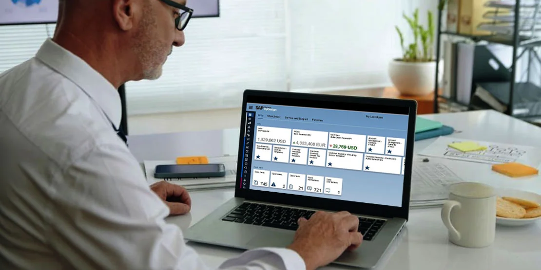 Business ByDesign