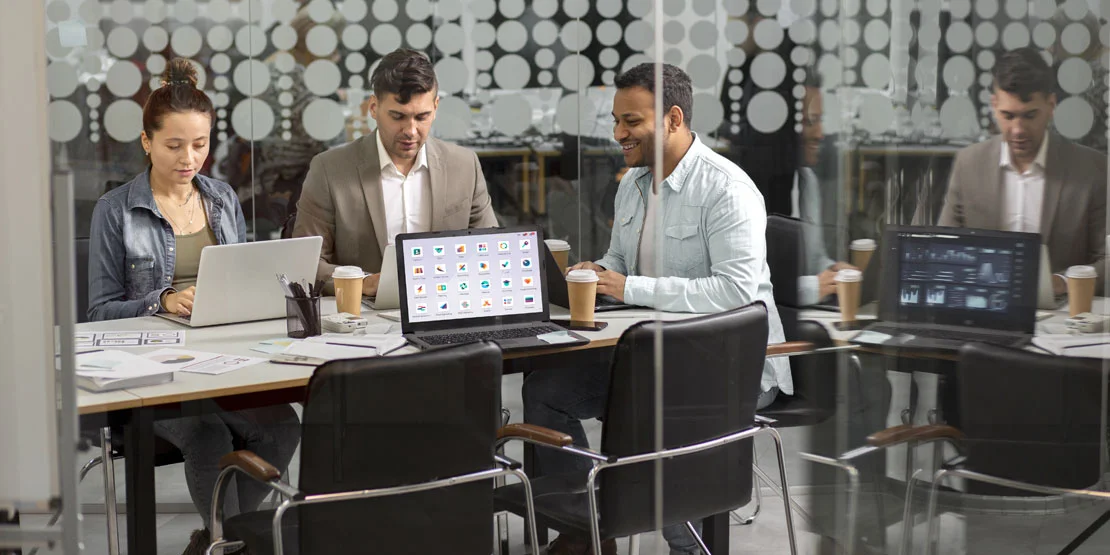 What are Common Risks in ERP Projects