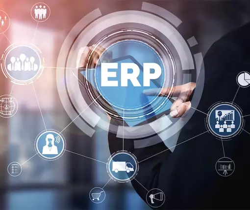 ERP Professional Services Industry