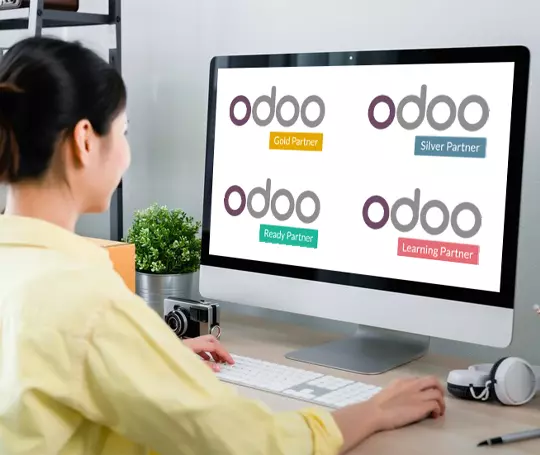 Understanding The Odoo Partners