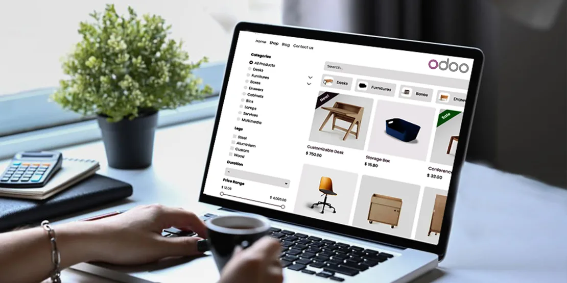 Odoo e-Commerce Solutions