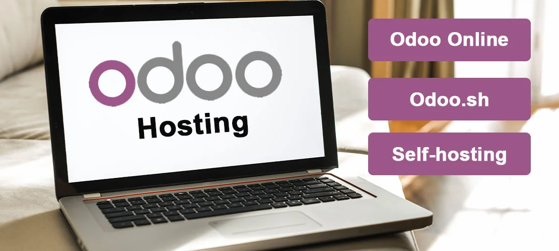 Hosting Options in Odoo