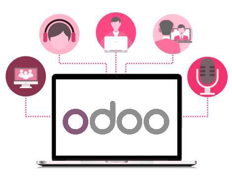 Odoo ERP Support